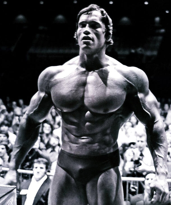 Arnold Schwarzenegger Program